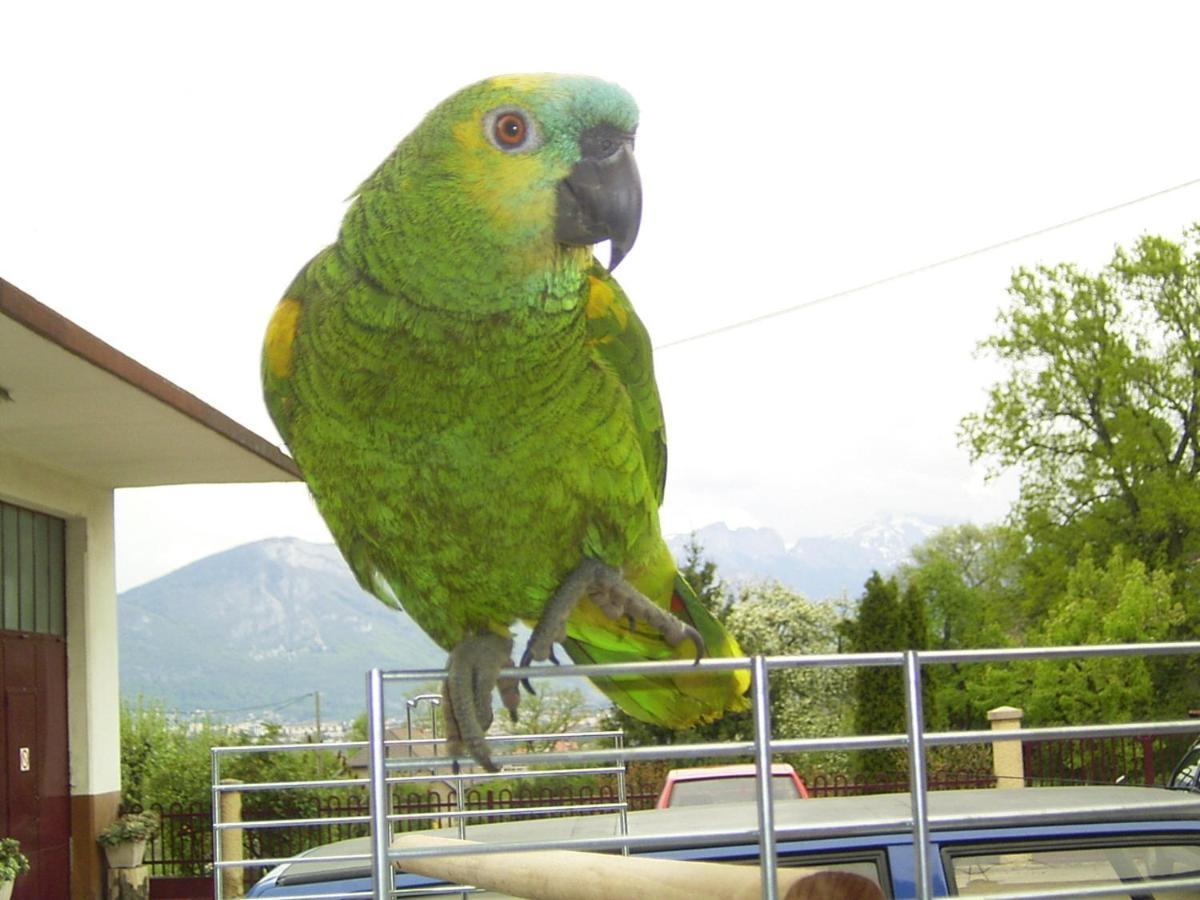 Le Paon Bleu Annecy Poisy Bed & Breakfast Bagian luar foto